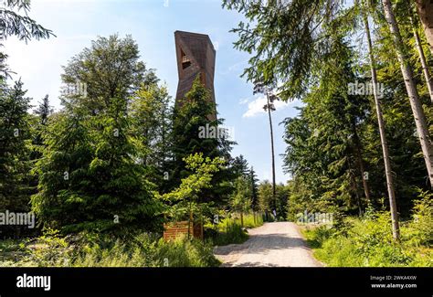 hardwaldturm|Hardwaldturm Routes for Walking and Hiking 